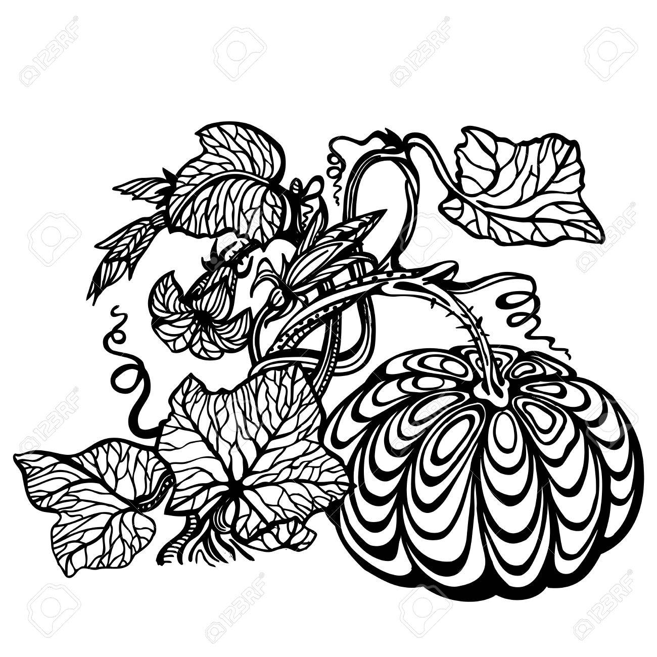 1300x1300 Halloween Pumpkin Growing Shoots And Flowers. Black And White