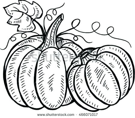 450x391 Pumpkin Drawing Pin Drawn Line Pumpkin Small Pumpkin Drawing Ideas