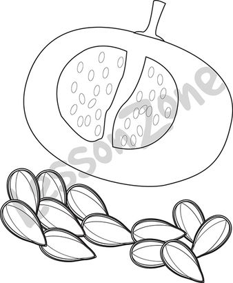 338x410 Lesson Zone Au