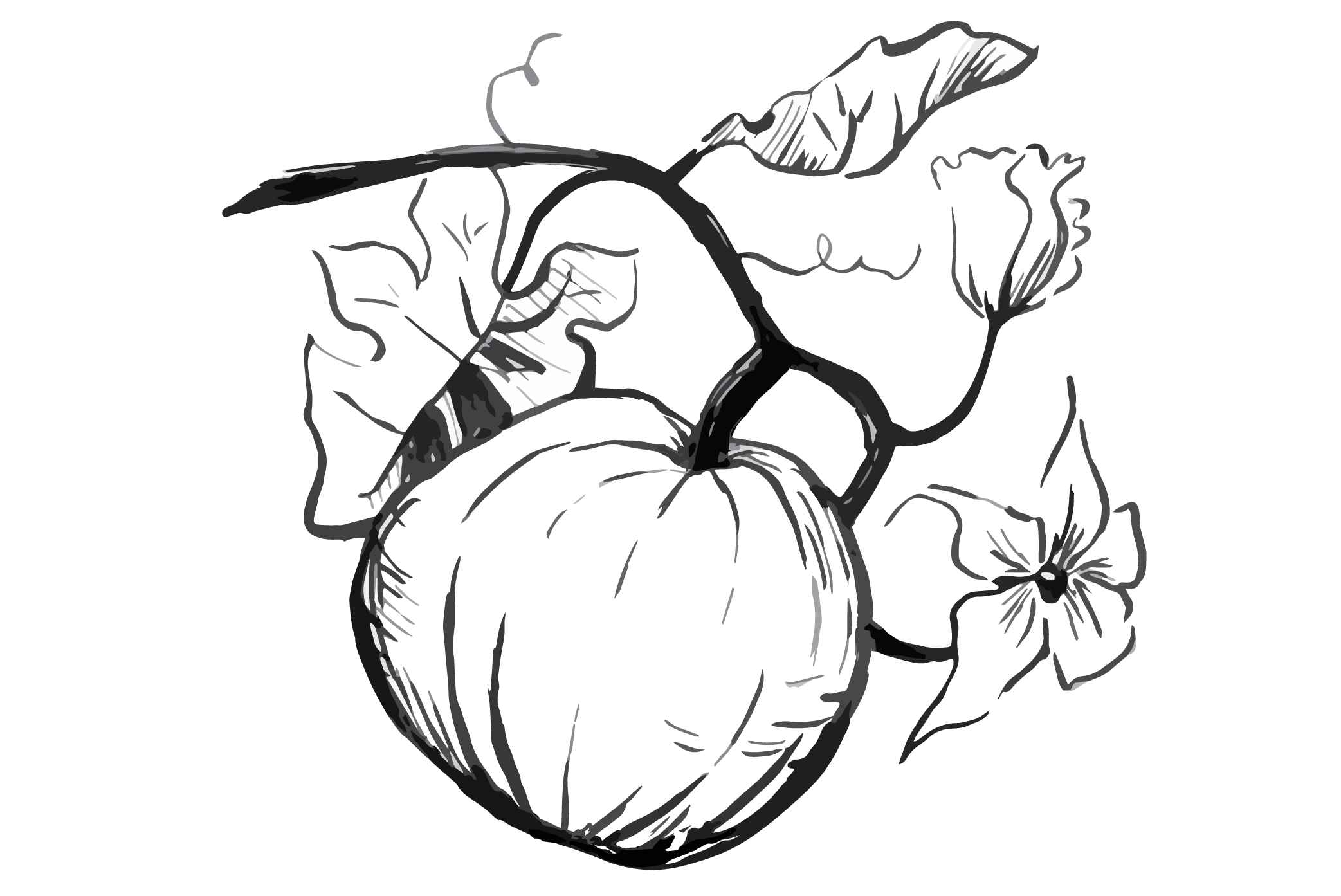 2085x1393 October Pumpkin Bread Miramar Farms