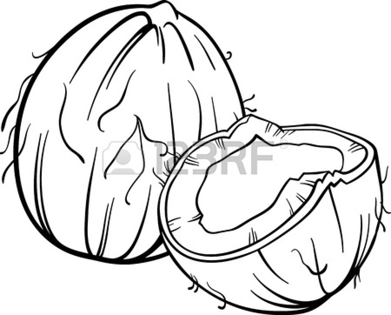 1350x1086 Fruits Amp Vegetables Clipart Black And White