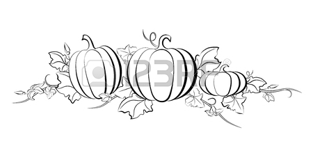 450x210 Pumpkin Vector Drawing Set. Isolated Outline Vegetable, Plant
