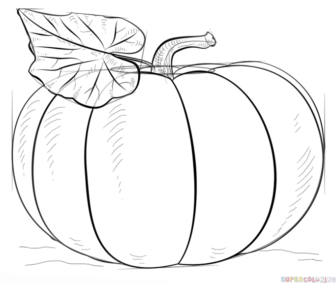 683x575 How To Draw A Pumpkin Step By Step Drawing Tutorials