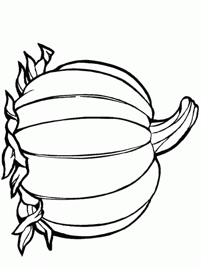 640x853 Pumpkin Template Colouring Pages 253543 Blank Pumpkin Coloring