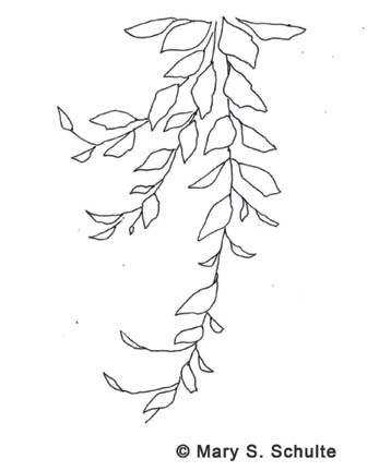 347x432 Painting Pumpkins And Gourds