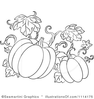 Pumpkin Vine Drawing at GetDrawings | Free download