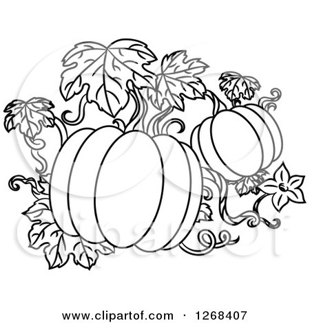 450x470 Clipart Of Black And White Pumpkins On A Vine
