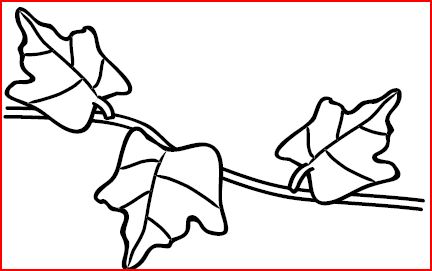 432x271 Pumpkin Life Cycle