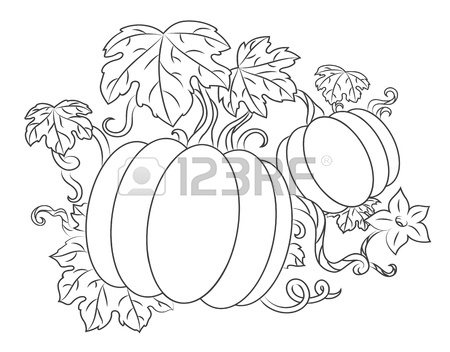 Pumpkin Vines Drawing at GetDrawings | Free download