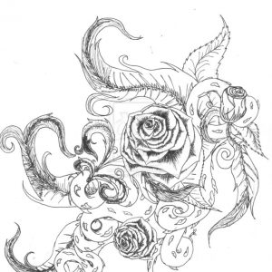 300x300 Rose Vine Drawing Acfcacebaaddbeca Adult
