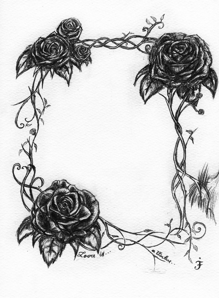767x1042 Rose Vine Drawing Lidaat Adult