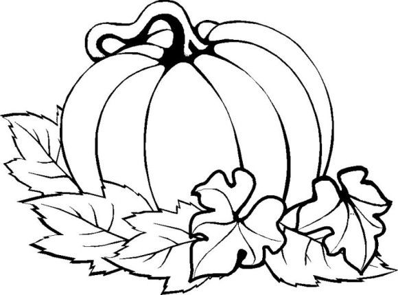 580x429 Drawn Pumpkin Thanksgiving