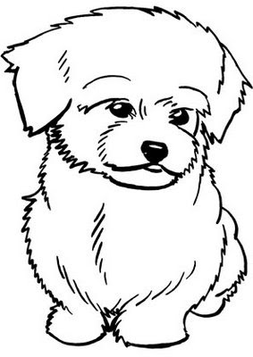 283x400 Monkeys Aren'T Funny Recent Drawing