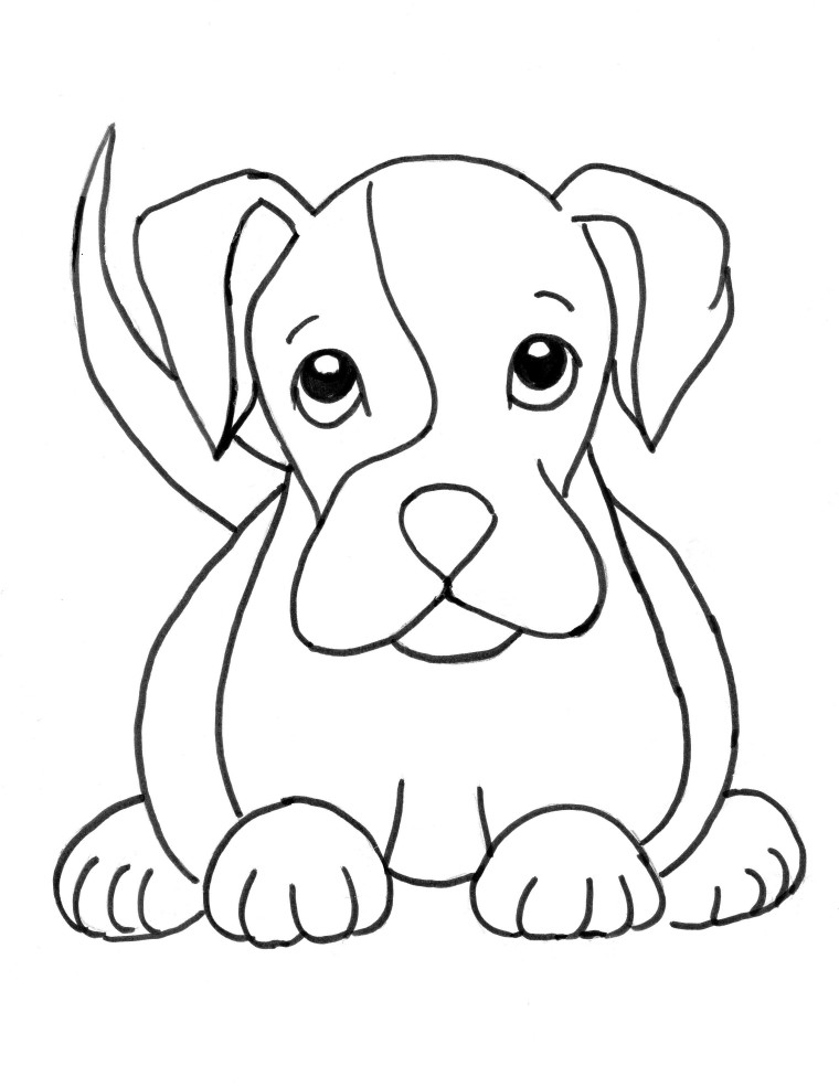Puppies Drawing