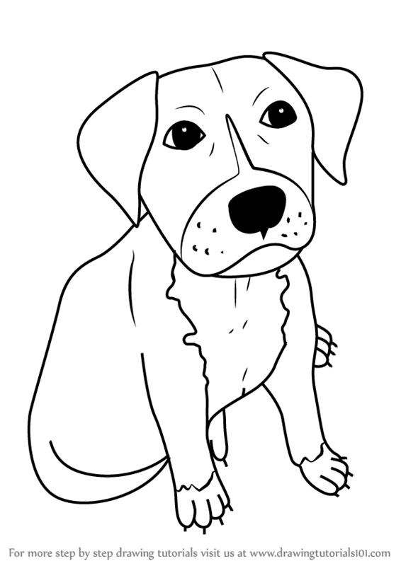 566x800 Learn How To Draw A Cartoon Pitbull Puppy (Cartoon Animals) Step