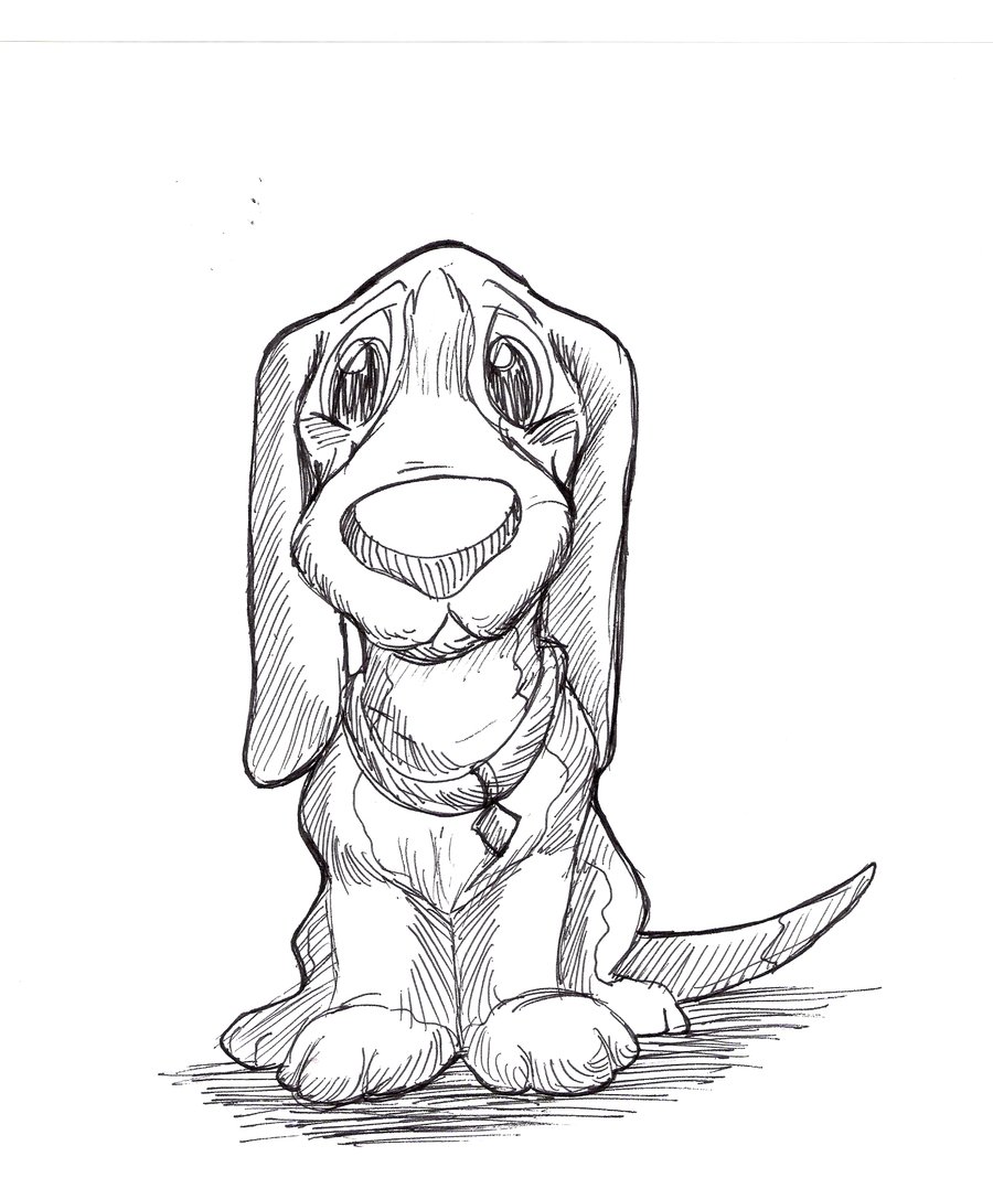 900x1068 Sad Puppy Pen Drawing By On @