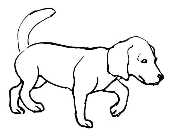 579x451 Dogs And Puppies Coloring Pages Puppy Coloring Page Puppy Dog