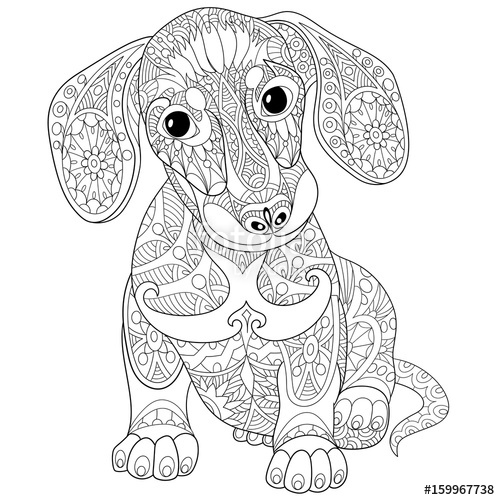 500x500 Coloring Book Page Of Dachshund Puppy Dog, Isolated On White