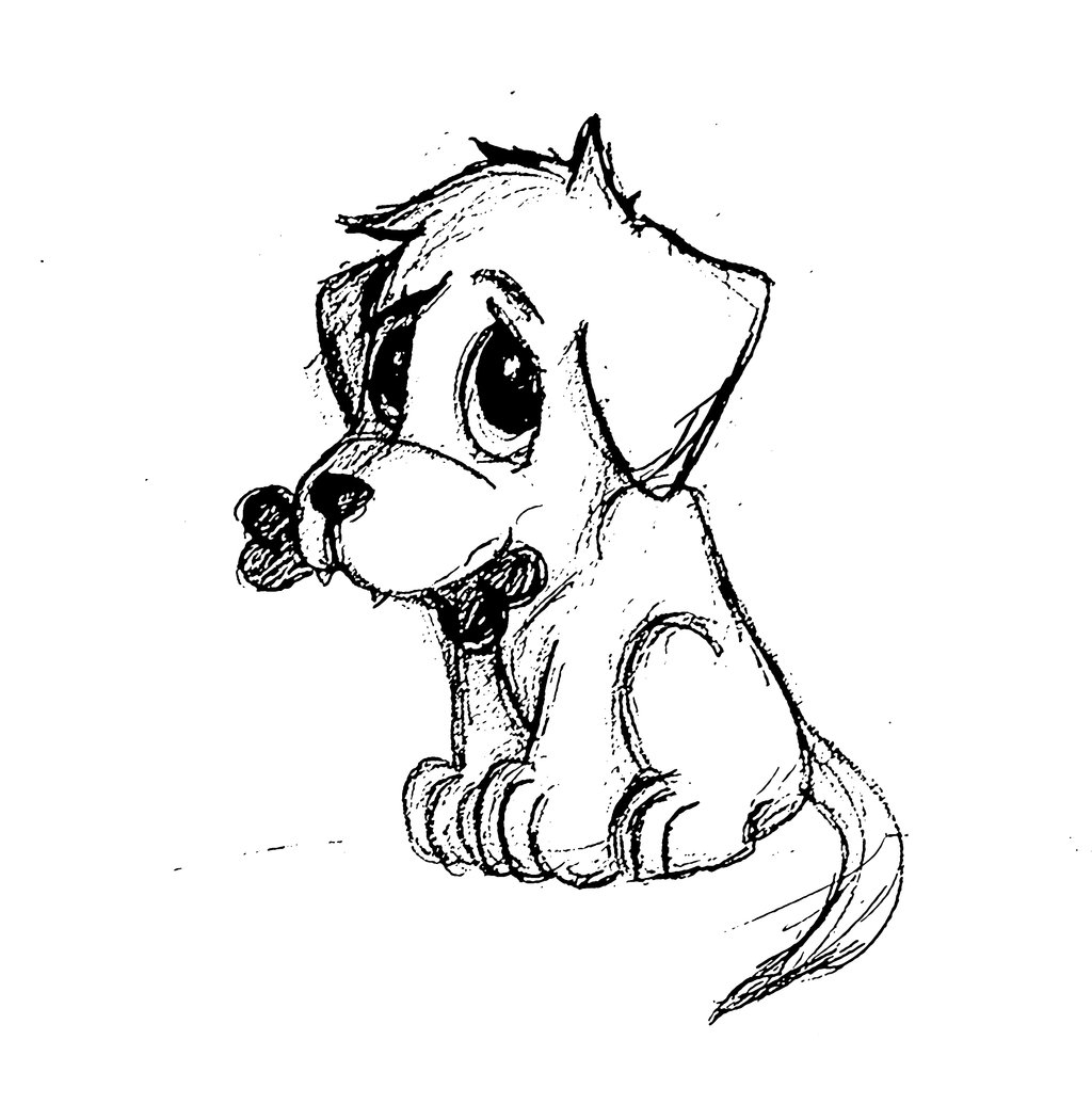 1024x1035 Sad Puppy Face Drawing How To Draw A Quick Dog Face Solution