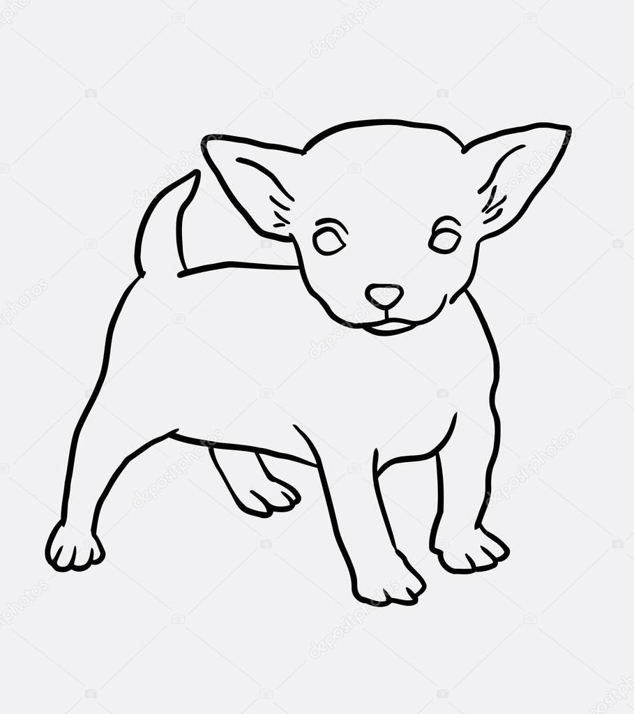 909x1023 Cute Puppy Dog Animal Line Art Drawing Stock Vector