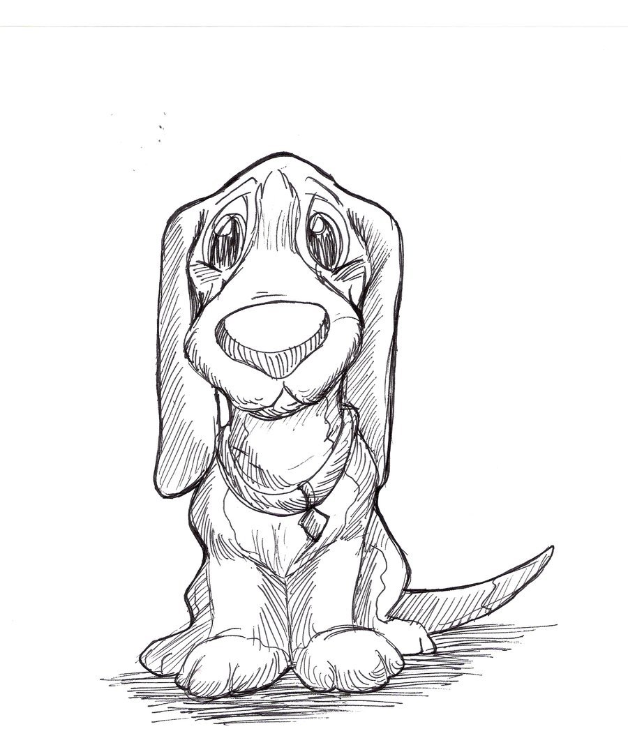 900x1068 Sad Puppy Pen Drawing By Kokamo77