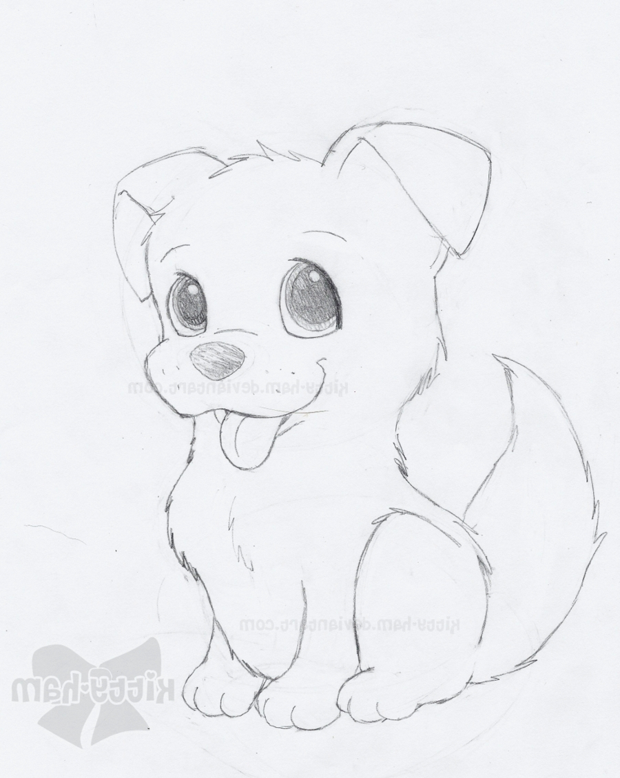 900x1129 Sketch Of Puppies Sketch Of Puppies How To Draw A Puppy (Stepstep