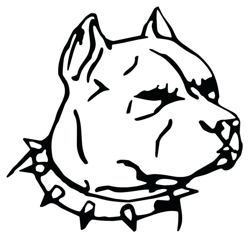 800x766 Pitbull Coloring Pages Color For Pr Cute Pitbull Puppy Coloring