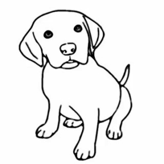 320x320 Tag For Easy Cute Puppy Pictures To Draw Design Drawing Cute