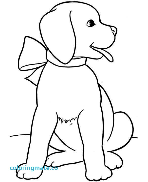 Puppy Drawing For Kids at GetDrawings | Free download