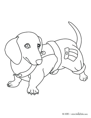 364x470 Puppy Color Page Dachshund Puppy Coloring Page Nice Dog Drawing