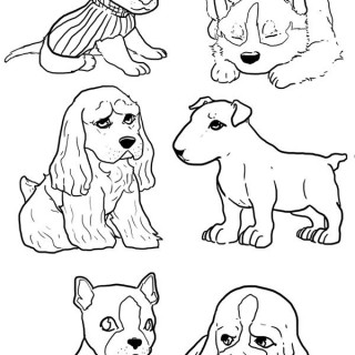 320x320 Tag For Cute Puppies Pictures To Draw How To Draw Cute Puppies