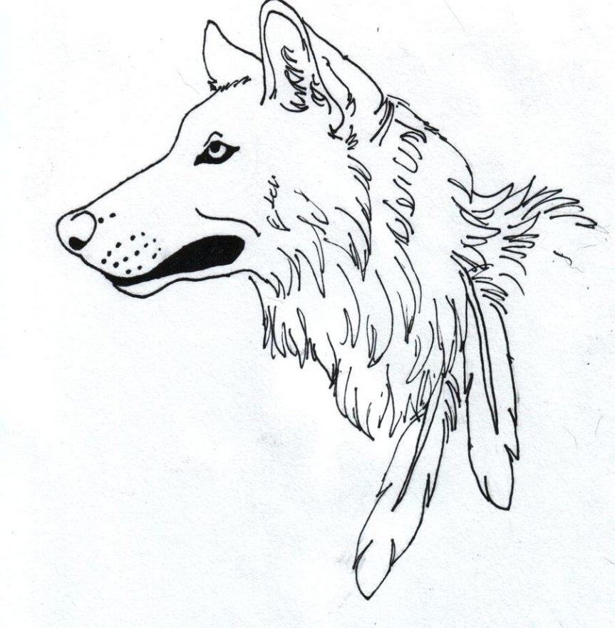 863x882 Wolf Outline By Face Drawing Pup Simple Drawings Wolf Face Outline