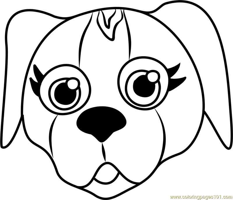 800x689 Beagle Puppy Face Coloring Page