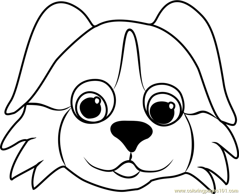 800x650 Bernese Puppy Face Coloring Page