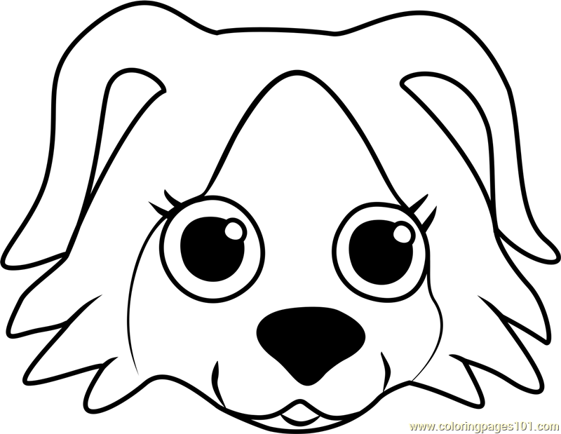 800x619 Border Collie Puppy Face Coloring Page