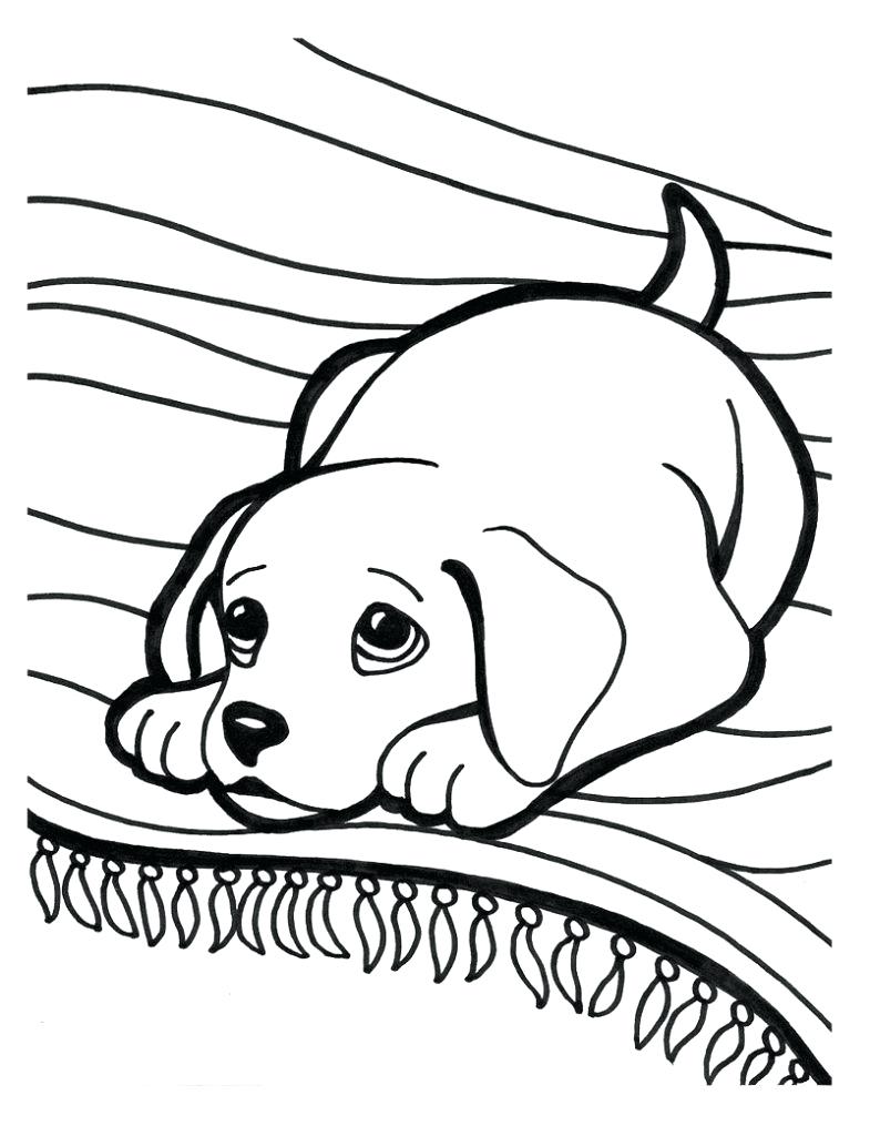 785x1024 Download Coloring Pages Puppy Cute Line Drawings 142 Glamorous