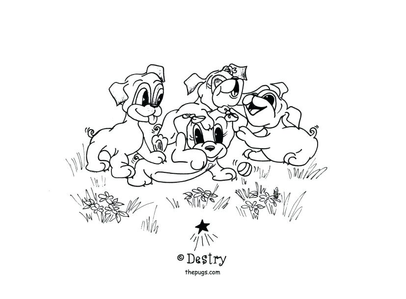 827x609 Pug Coloring Pictures Epic Pug Coloring Page For Line Drawings