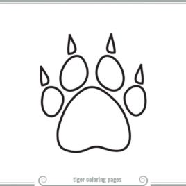 Puppy Paw Drawing at GetDrawings | Free download