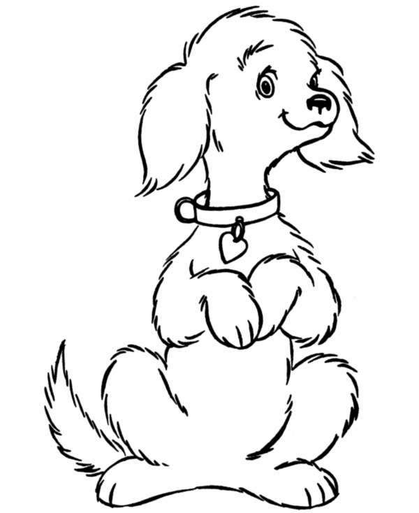 600x734 40 Simple Dog Drawing To Follow And Practice