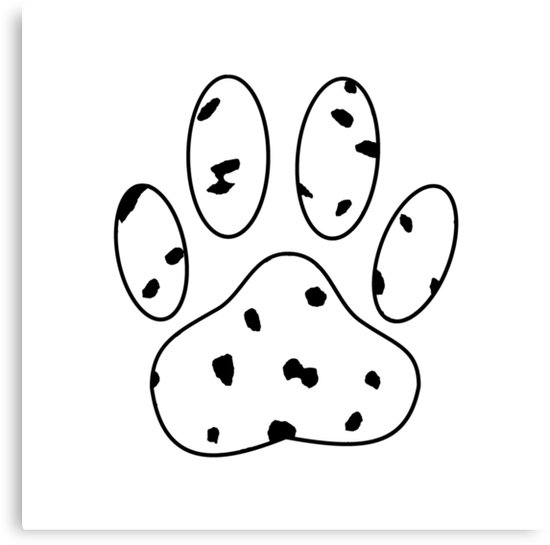 550x545 Dalmatian Puppy Paw Print Canvas Prints By Almdrs Redbubble