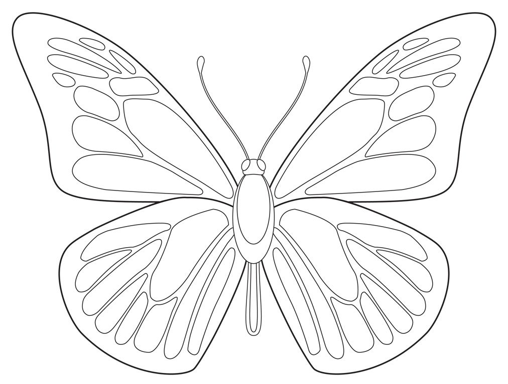 1012x766 Art Projects For Kids Free Butterfly Drawing Download Butterfly