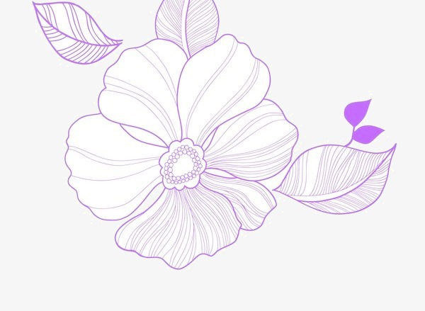 600x439 Flowers, Purple, Plain Jane Png Image For Free Download