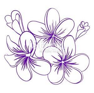 300x299 Image Result For Plumeria Outline Clip Art Plumerias