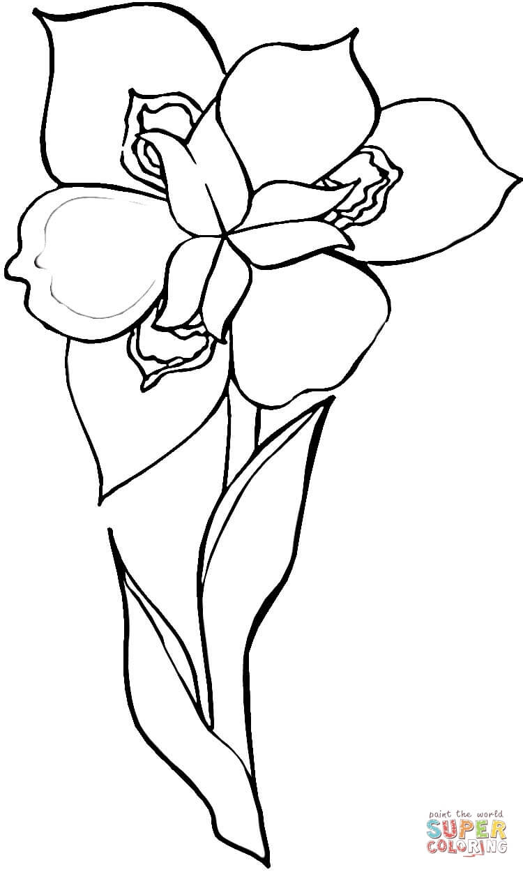 750x1250 Iris Flower Coloring Page Free Printable Coloring Pages