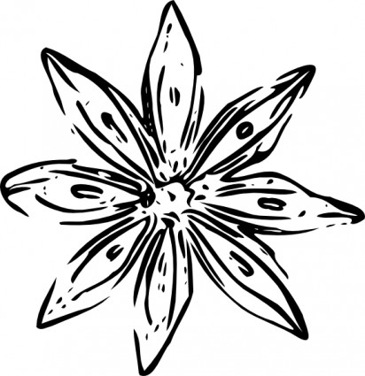 412x425 Black And White Flower Art