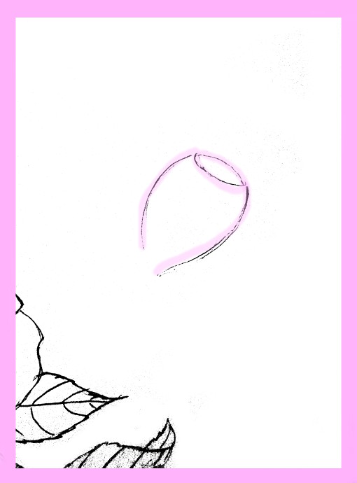 510x690 How To Draw Roses