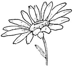 236x212 Line Drawing Of A Flower Free Download Clip Art Free Clip Art