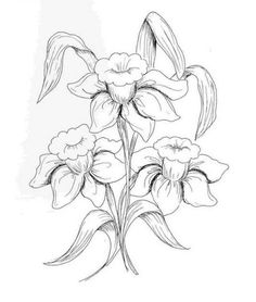 236x278 Orchid Sketch Orchid, Sketches And Tattoo