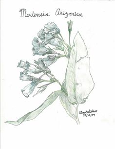 236x305 Pink And Purple Orchid Oil By Naturesintricacies On Etsy Awesome