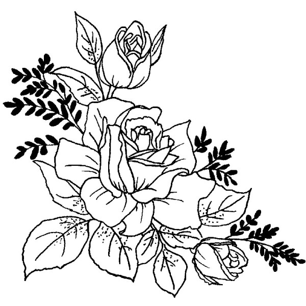 600x600 Purple Daisy Design L 909 Rose With Buds